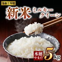 【ふるさと納税】【予約】新米 令和7年産 ミルキークイーン 5kg 水穂やまだ 白米 こめ おこめ 阿蘇米 米 お米 美味しい 寒暖差 湧き水 お取り寄せ 食卓 豪華 贅沢 自然 湧水 熊本県 阿蘇市