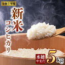 【ふるさと納税】【予約】新米 令和7年産 コシヒカリ 5kg 水穂やまだ 白米 こめ おこめ 阿蘇米 米 お米 美味しい 寒暖差 湧き水 お取り寄せ 食卓 豪華 贅沢 自然 湧水 熊本県 阿蘇市