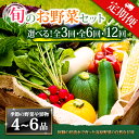 【ふるさと納税】【定期便】畑から直送 季節のお野菜セット Mサイズ 3回 6回 12回 定期便 野菜 4~6品 定期便 ふるさと納税 全6回 全12回 詰め合わせ セット 新鮮 減農薬 高原 旬 産地直送 野菜 果物 フルーツ 採れたて 甘い 美味しい 人気 安心 安全 熊本県 阿蘇市