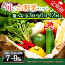 【ふるさと納税】【定期便】畑から直送 季節のお野菜セット Lサイズ 3回 6回 12回 定期便 野菜 7~9品 定期便 ふるさと納税 全6回 全12回 詰め合わせ セット 新鮮 減農薬 高原 旬 産地直送 野菜 果物 フルーツ 採れたて 甘い 美味しい 人気 安心 安全 熊本県 阿蘇市