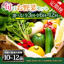 【ふるさと納税】【定期便】畑から直送 季節のお野菜セット XLサイズ 3回 6回 12回 定期便 野菜 10~12品 定期便 ふるさと納税 全6回 全12回 詰め合わせ セット 新鮮 減農薬 高原 旬 産地直送 野菜 果物 フルーツ 採れたて 甘い 美味しい 人気 安心 安全 熊本県 阿蘇市