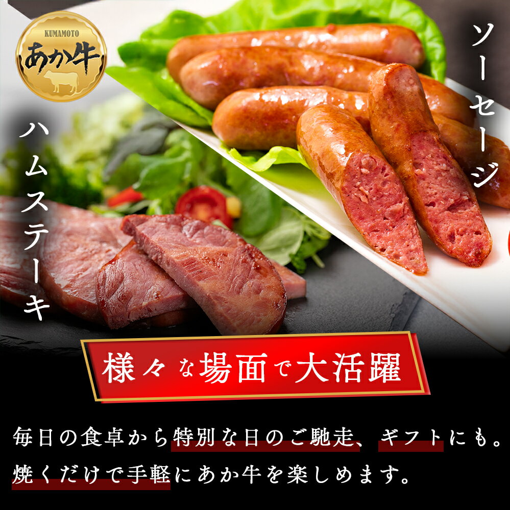 【ふるさと納税】大満足！阿蘇あか牛詰め合わせセット 阿蘇グリーンストック ハンバーグ ペッパーフランクソーセージ あか牛ウインナー あか牛ブロック肉入りハムステーキ あか牛ローストビーフ2種 肉ウインナー 食べ比べ 贈り物 ギフト 豪華 夕食 晩酌 人気 熊本県 阿蘇市 f432148-aso-10001157 熊本県阿蘇市 サンプル画像3
