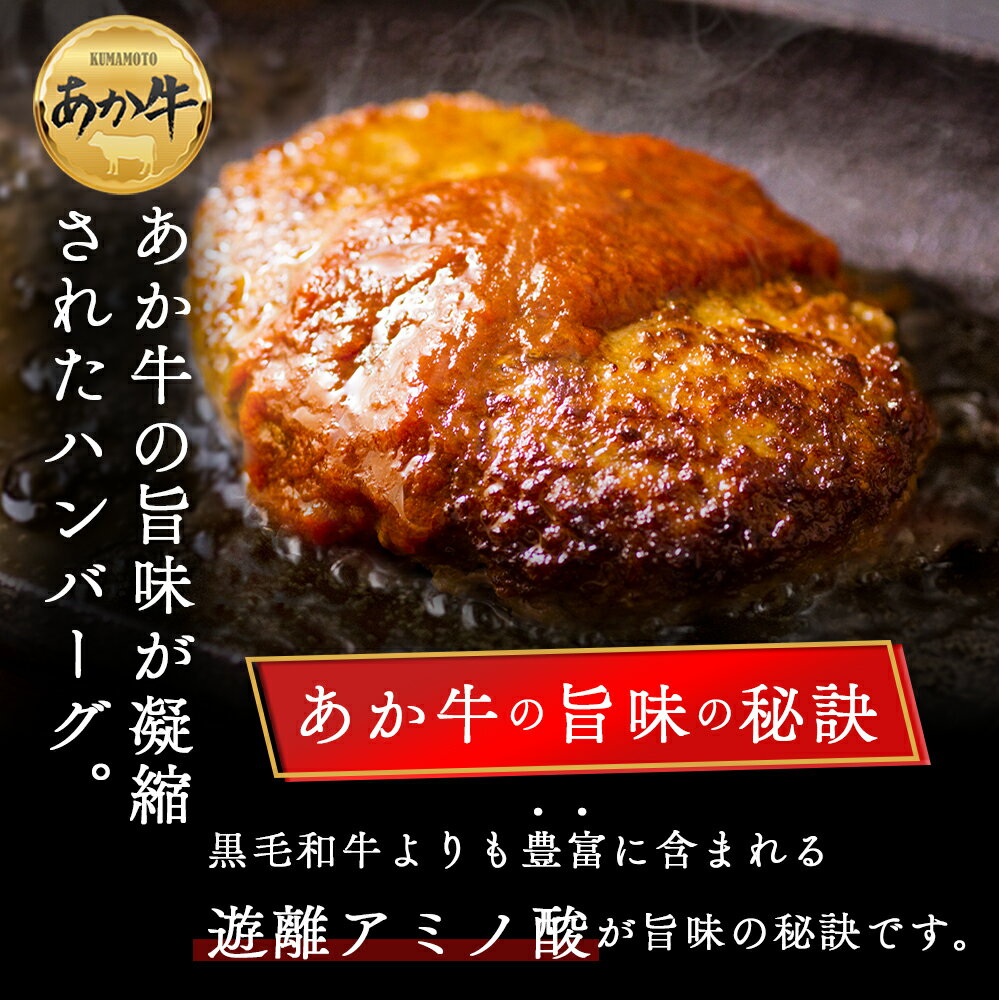 【ふるさと納税】大満足！阿蘇あか牛詰め合わせセット 阿蘇グリーンストック ハンバーグ ペッパーフランクソーセージ あか牛ウインナー あか牛ブロック肉入りハムステーキ あか牛ローストビーフ2種 肉ウインナー 食べ比べ 贈り物 ギフト 豪華 夕食 晩酌 人気 熊本県 阿蘇市 f432148-aso-10001157 熊本県阿蘇市 サンプル画像2