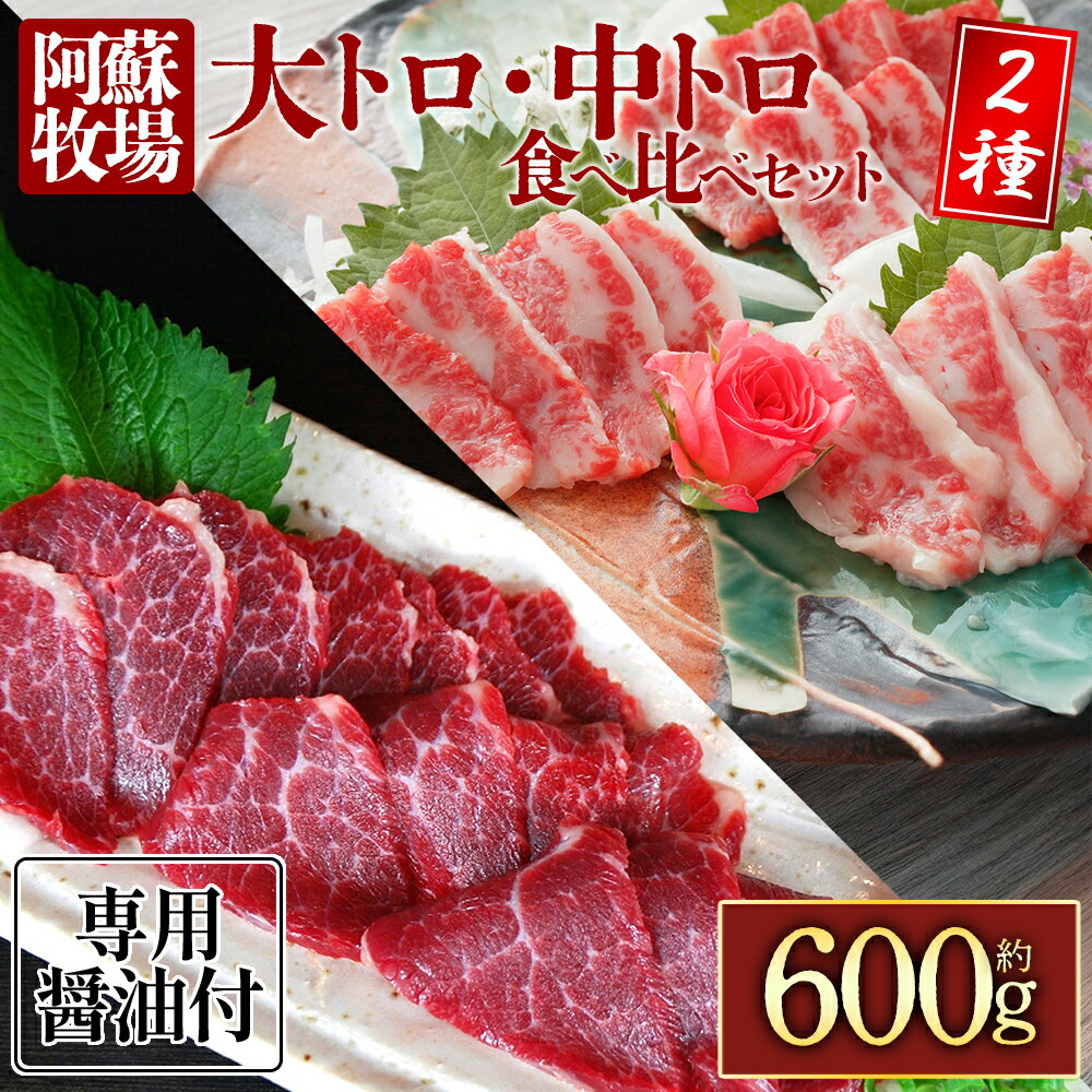[阿蘇牧場]大トロ・中トロ馬刺しのセット600g(各300g) 大トロ 馬刺し 中トロ 馬刺し 食べ比べ 冷凍 馬肉 小分け タレ付き お肉 熊本名物 上質 新鮮 お取り寄せ お祝い おつまみ 晩酌 生食用 刺身 プレゼント名物 特産品 熊本県 阿蘇市