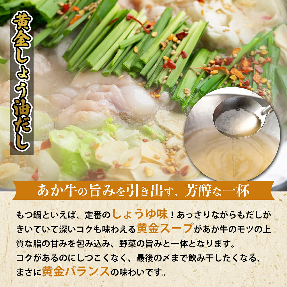 【ふるさと納税】阿蘇はなびし あか牛もつ鍋セット 選べるスープ（しょうゆ・みそ・キムチ）もつ鍋 鍋 あか牛 麵付き お取り寄せ 冷凍 お土産 ギフト 贈答用 晩ご飯 夕食 簡単 セット 手軽 熊本県 阿蘇市 f432148-aso-10001181 熊本県阿蘇市 サンプル画像2