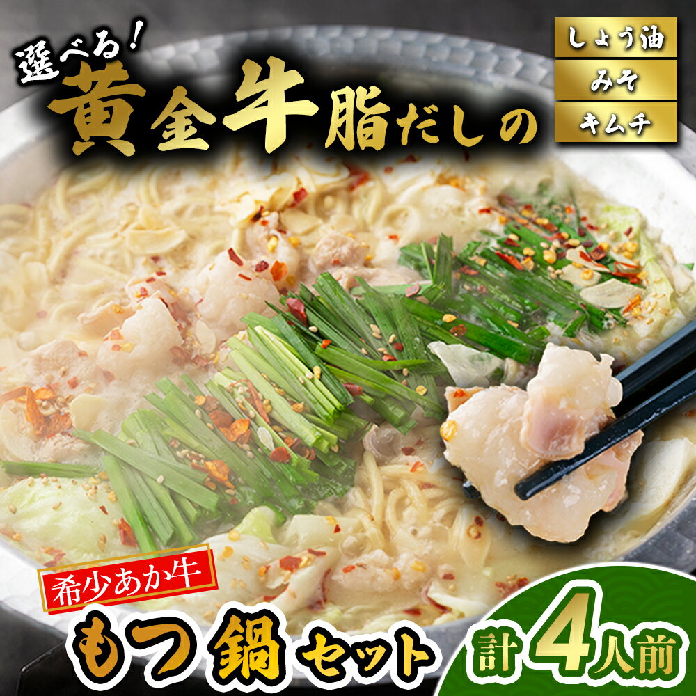 阿蘇はなびし あか牛もつ鍋セット 選べるスープ(しょうゆ・みそ・キムチ)もつ鍋 鍋 あか牛 麵付き お取り寄せ 冷凍 お土産 ギフト 贈答用 晩ご飯 夕食 簡単 セット 手軽 熊本県 阿蘇市