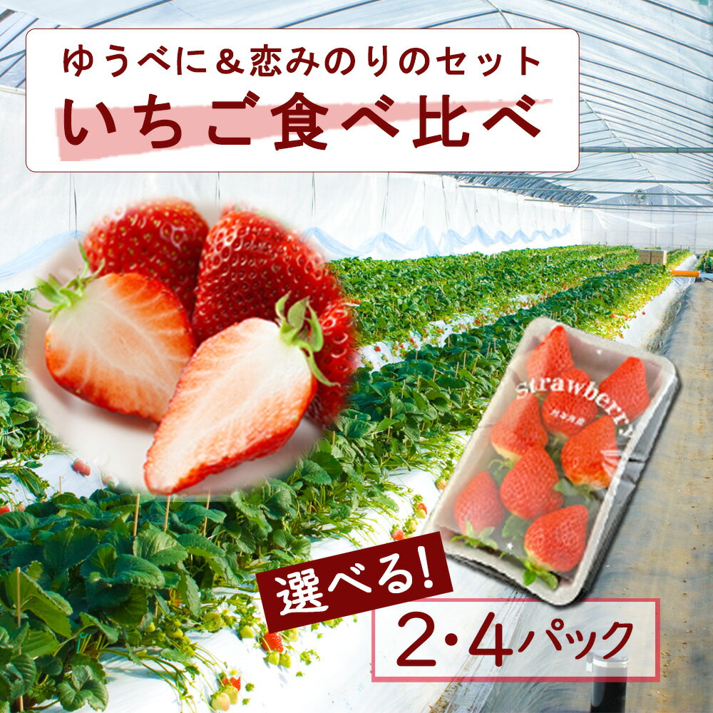 いちご食べ比べセット 選べる 計2パック・4パック ゆうべに 恋みのり 高藤農園 2品種をセット お届け お取り寄せ ギフト 美味しい みずみずしい ジューシー いちご フルーツ 果物 新鮮 旬 ふるさと納税 熊本県 阿蘇市