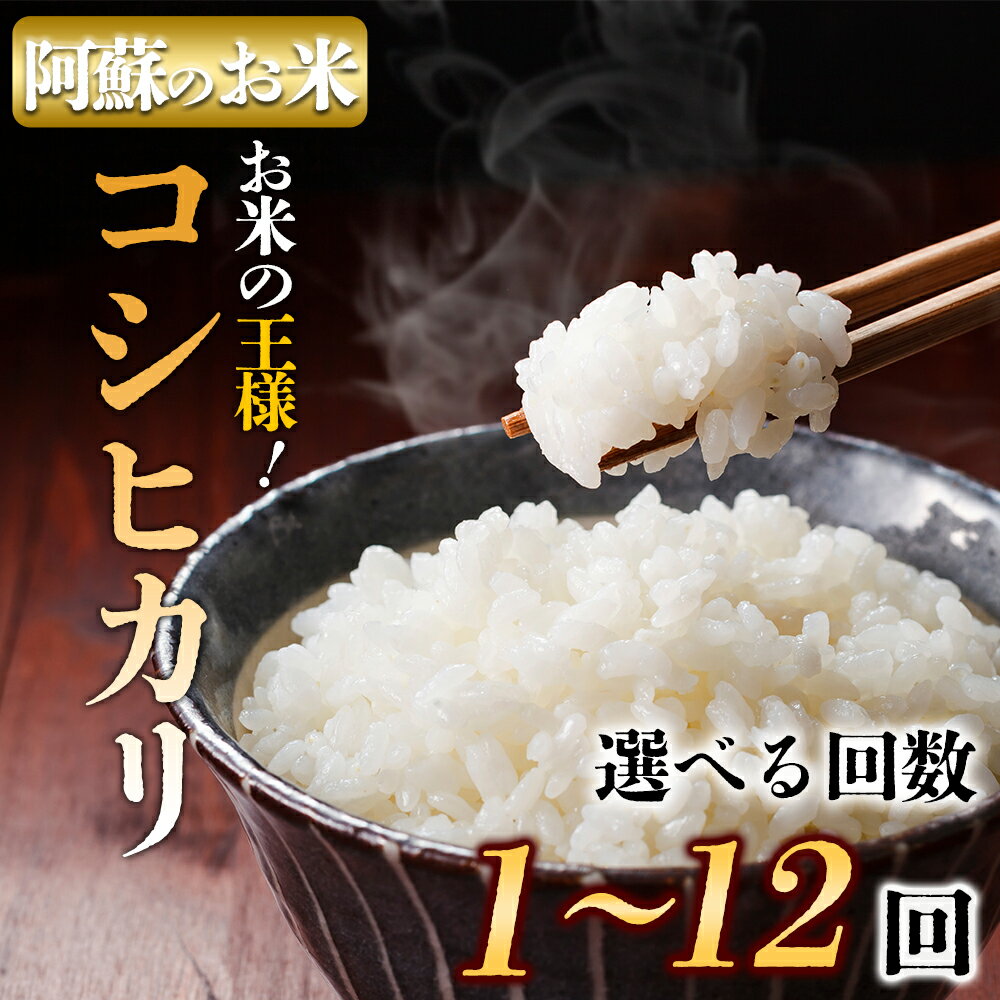【ふるさと納税】届く回数が選べる R7年産コシヒカリ 5kg プロ厳選の産地直送米 単品 6回 12回　【ふるさと納税】お米 米 コシヒカリ 令和7年 選べる回数 5kg 定期購入 6回 12回 毎月 隔月 定期便 ふるさと納税 令和7年度 選べる 白米 こめ おこめ 阿蘇米 米 お米 美味しい 寒暖差 湧き水 お取り寄せ 食卓 豪華 贅沢 自然 湧水 熊本県 阿蘇市
