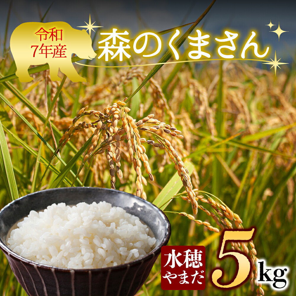 【ふるさと納税】令和7年産 森のくまさん 5kg 水穂やまだ　 白米 こめ おこめ 阿蘇米 米 お米 美味しい 寒暖差 湧き水 お取り寄せ 食卓 豪華 贅沢 自然 湧水 熊本県 阿蘇市