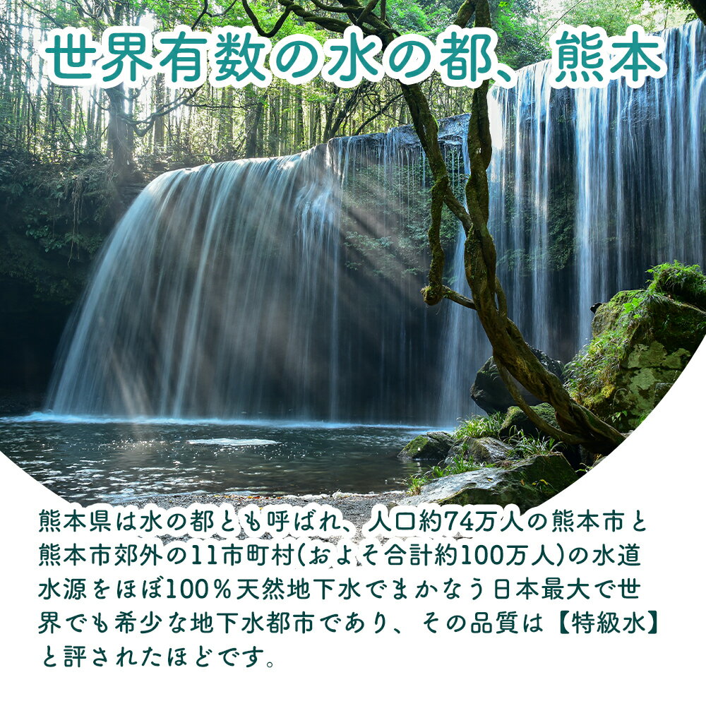 【ふるさと納税】 水 熊本のおいしいお水 阿蘇のメイスイ 天然水 阿蘇 阿蘇の天然水 2L×6本 1ケース 軟水 ナチュラル ミネラルウォーター ドリンク ペットボトル 人気 防災 備蓄 キャンプ 仕送り 送料無料 熊本県 阿蘇市