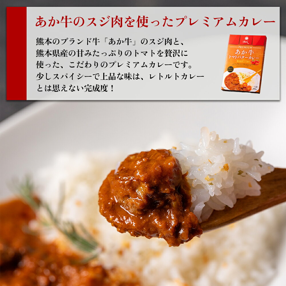 【ふるさと納税】阿蘇 阿蘇はなびし食品研究所 あか牛トマトバターカレー＆阿蘇とまとのチキンカレー 各2個 計4個セット 詰め合わせ お取り寄せ 惣菜 おかず グルメ ギフト 贈答品 御礼 お祝い 御祝 ランチ ディナー 一人暮らし 簡単 温めるだけ 熊本県 阿蘇市 f432148-aso-10001159 熊本県阿蘇市 サンプル画像2