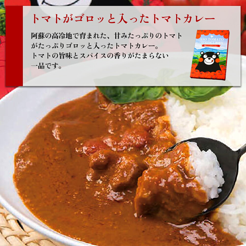 【ふるさと納税】阿蘇 阿蘇はなびし食品研究所 あか牛トマトバターカレー＆阿蘇とまとのチキンカレー 各2個 計4個セット 詰め合わせ お取り寄せ 惣菜 おかず グルメ ギフト 贈答品 御礼 お祝い 御祝 ランチ ディナー 一人暮らし 簡単 温めるだけ 熊本県 阿蘇市 f432148-aso-10001159 熊本県阿蘇市 サンプル画像3