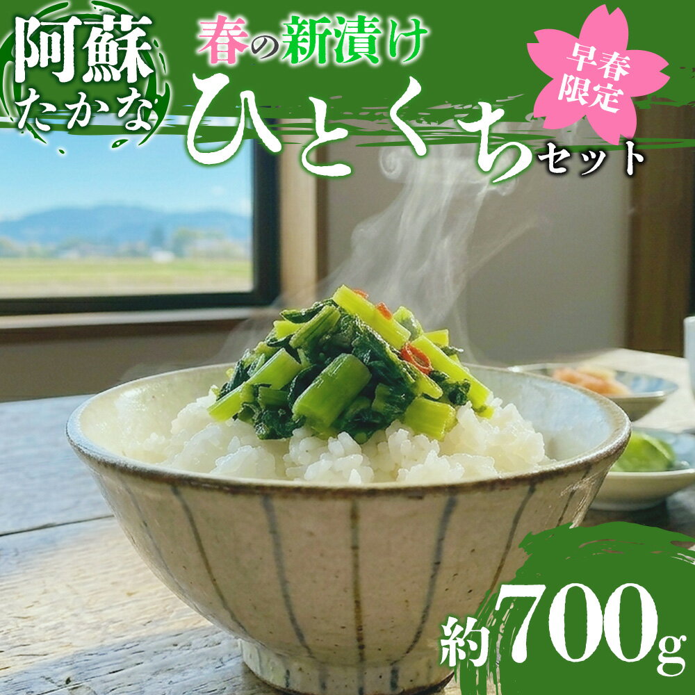 たかな 高菜 阿蘇高菜 新漬け 漬物 阿蘇たかな 青高菜 青たかな 春の「ひとくち阿蘇」セット 3種食べ比べセット たかな 詰め合わせ セット 名産品 期間限定 数量限定 限定 春 高菜漬け お漬物 ギフト 冷凍保存可 贈り物 ギフト ご飯のお供 熊本県 阿蘇市