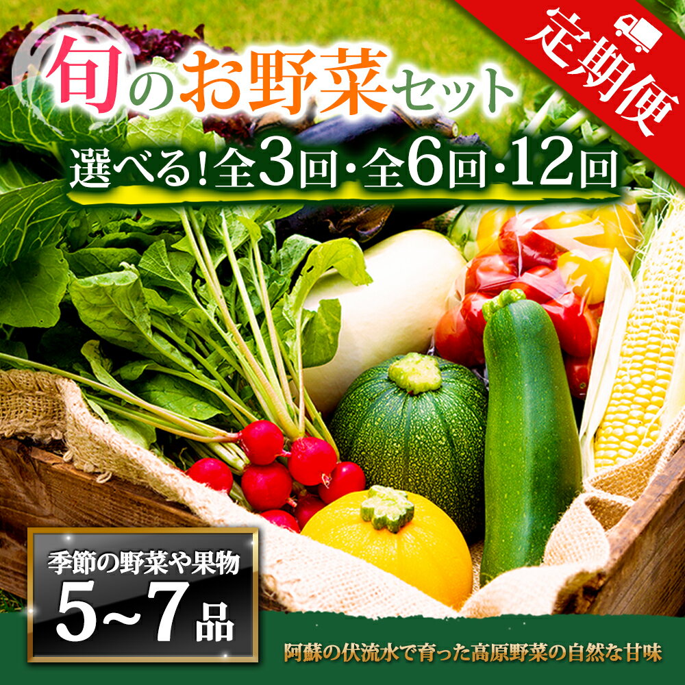 【ふるさと納税】【定期便】畑から直送 季節のお野菜セット Mサイズ 3回 6回 12回 定期便 野菜 4〜6品...