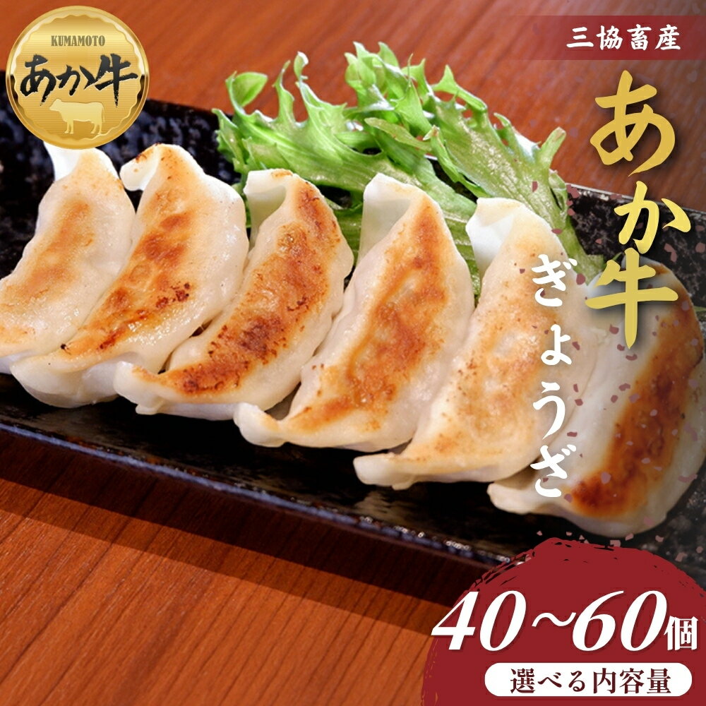 [三協畜産]熊本和牛あか牛ぎょうざ 40個〜60個 和牛 国産牛 お取り寄せ ご当地 高級 贅沢 ジューシー餃子 冷凍 あか牛 熊本県産 濃厚肉汁 焼くだけ簡単 熊本県 阿蘇市