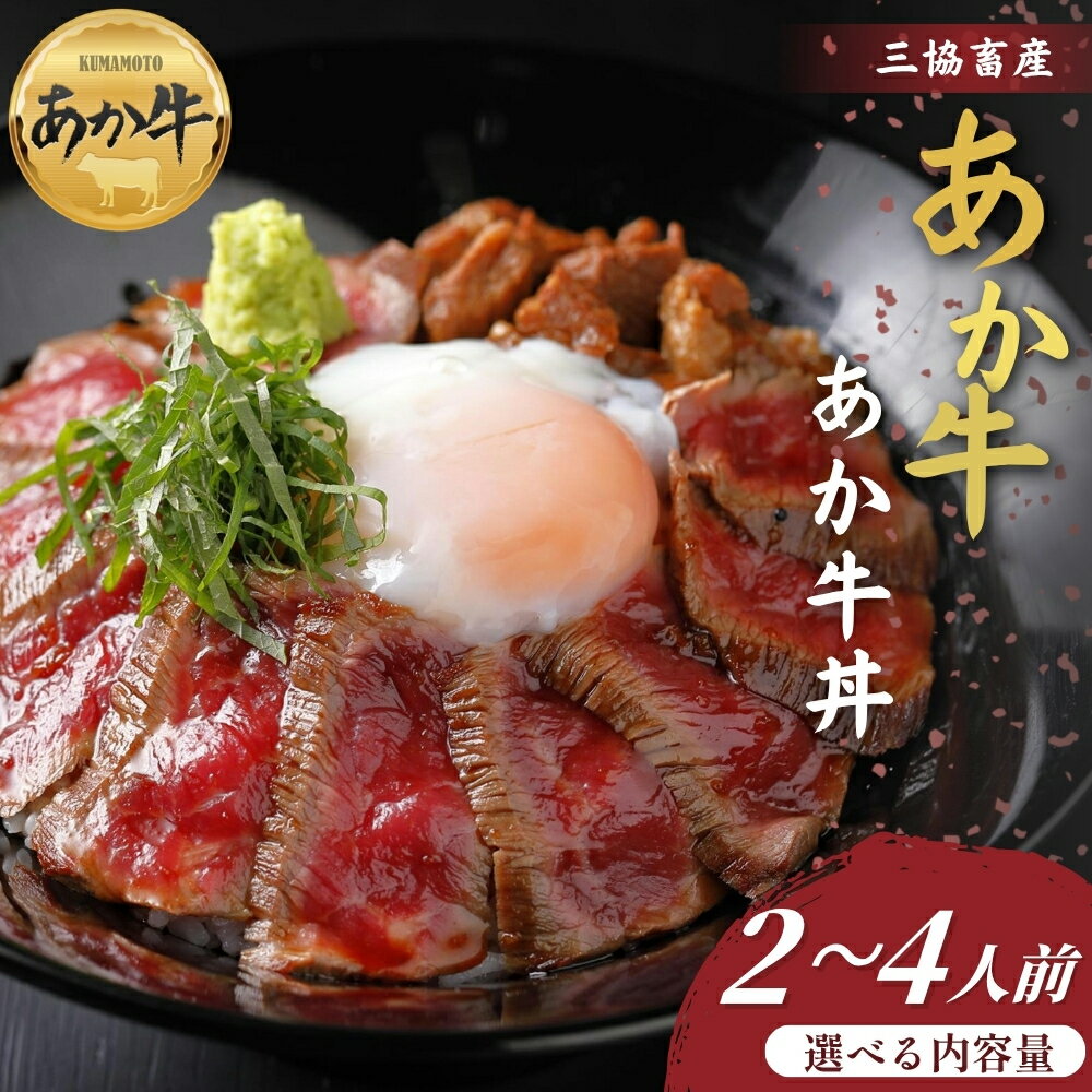 [三協畜産]熊本名物あか牛丼セット 2人前 または 4人前 あか牛 赤牛 牛肉 あか牛 あか牛丼 国産 簡単 お取り寄せ 冷凍 お土産 ギフト 贈り物 贈答用 豪華 セット ご当地 簡単 手軽 贅沢 ご褒美 お祝い 人気 晩ご飯 熊本県 阿蘇市