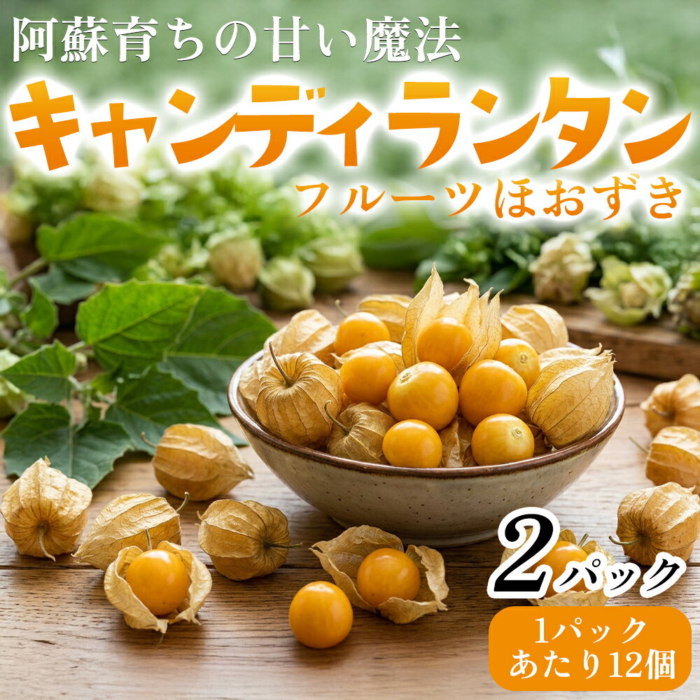 【ふるさと納税】キャンディランタン フルーツほうずき 食用ほうずき 12個入×2パッ...