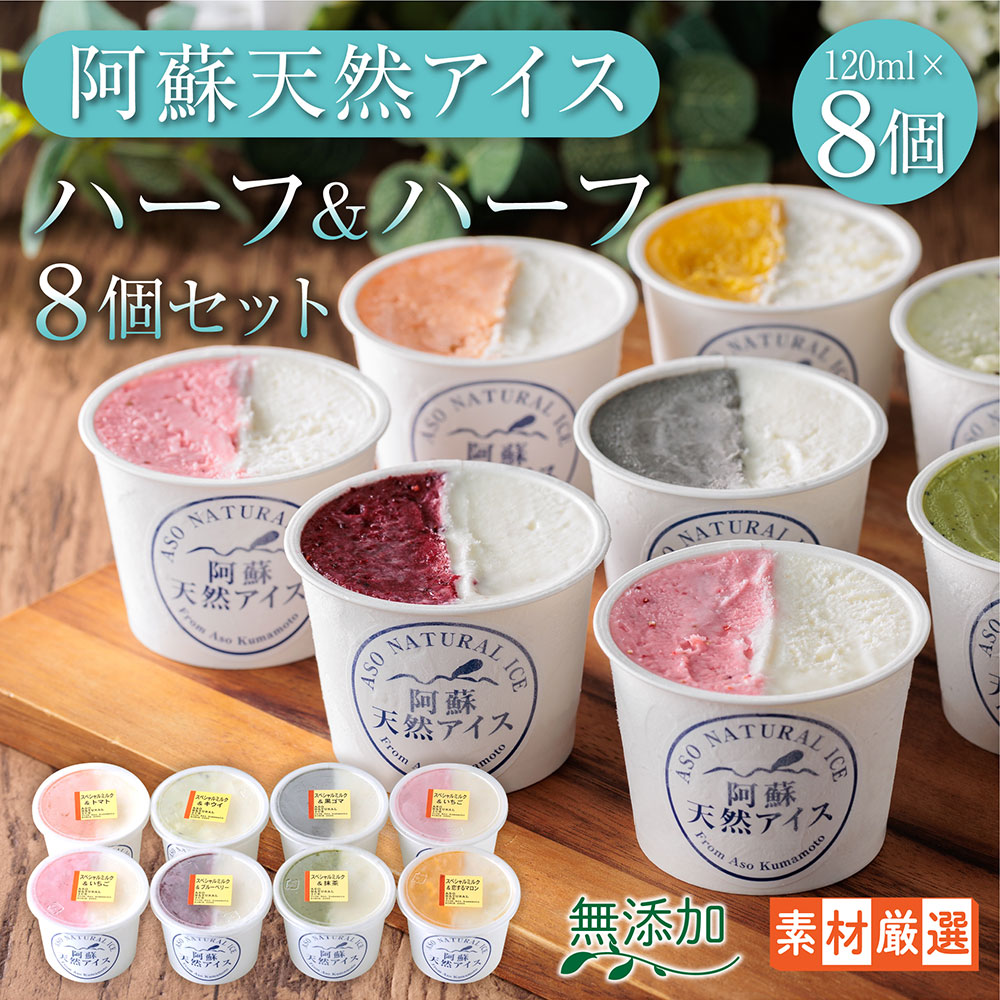 ジェラート アイス 阿蘇天然アイス 8個 詰め合わせ [ハーフ&ハーフ] スイーツ デザート お菓子 お取り寄せ ギフト 贈答用 贈り物 お子様 おやつ 美味しい 贅沢 素材 豪華 冷凍 熊本県 阿蘇市