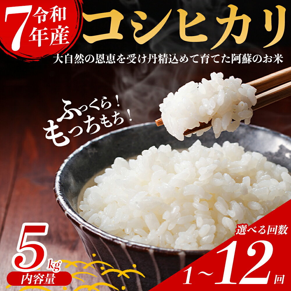 【ふるさと納税】お米 米 コシヒカリ 令和7年 選べる回数 5kg 定期購入 6回 12回 毎月 隔月 定期便 ふるさと納税 令和7年度 選べる 白米 こめ おこめ 阿蘇米 米 お米 美味しい 寒暖差 湧き水 お取り寄せ 食卓 豪華 贅沢 自然 湧水 熊本県 阿蘇市