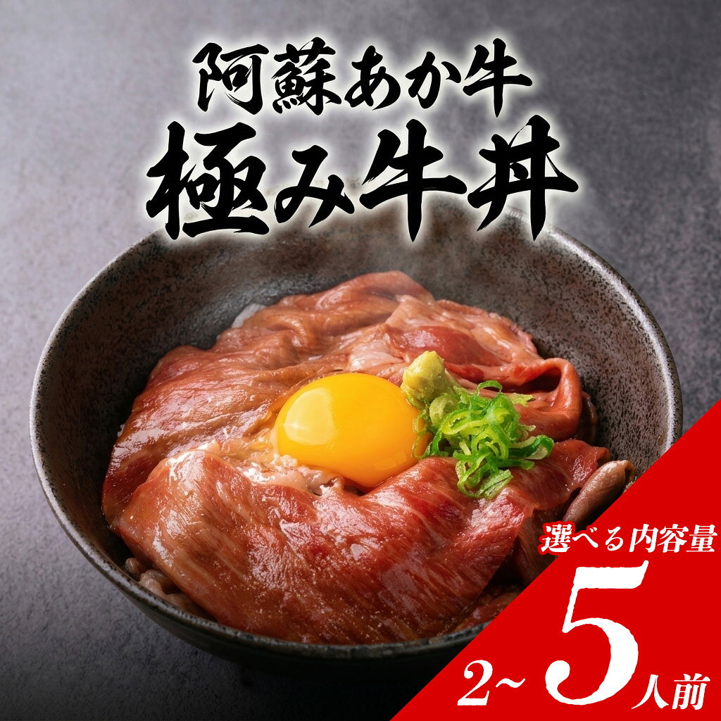 極みあか牛丼 選べる内容量 牛肉 あか牛丼 肉 ふるさと納税 簡単 冷凍 赤牛 あかうし くまもと 褐色和牛 和牛 国産 赤身 贅沢 ごちそう おうちご飯 豪華 お取り寄せ ご当地 名産 特産 家庭用 贈答用 ギフト 手土産 贈り物 ふるさと納税 熊本県 阿蘇市