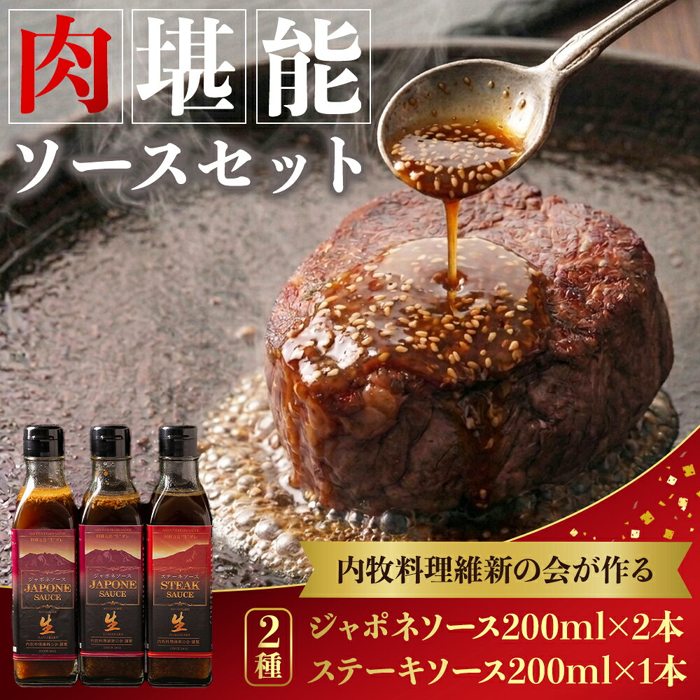 内牧料理維新の会が作る、肉ソース2種セット お取り寄せ ギフト 贈答用 オリジナルソース おいしい おもてなし 人気 贅沢 BBQ 簡単 かけるだけ プレゼント お礼 熊本県 阿蘇市