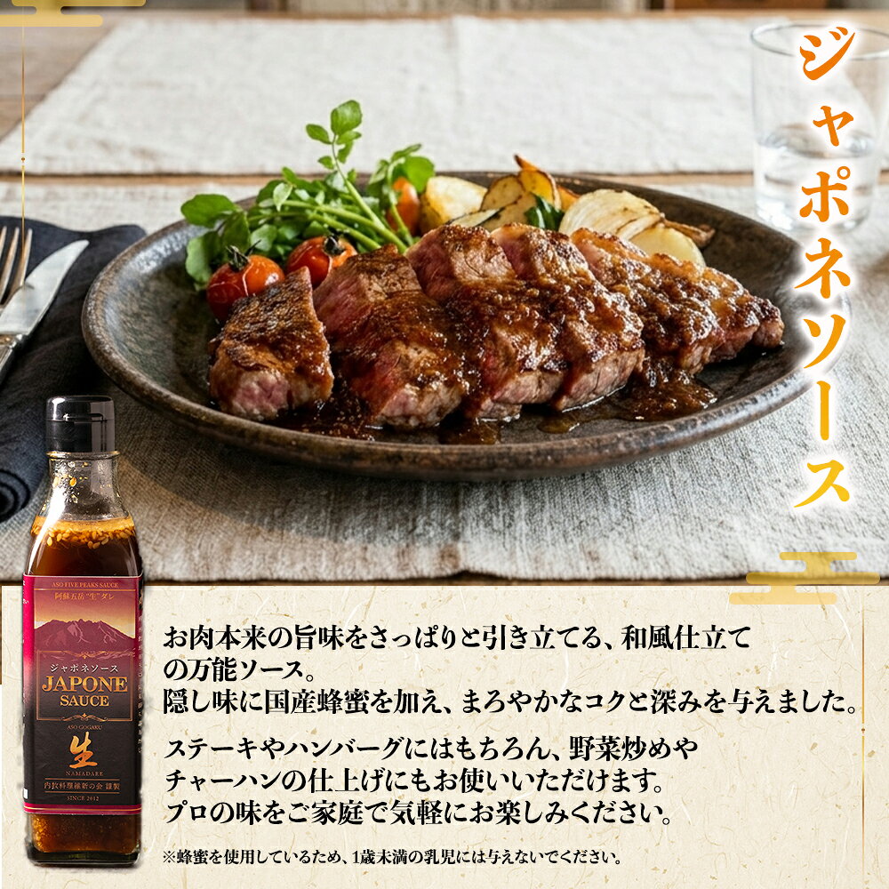 【ふるさと納税】内牧料理維新の会が作る、肉ソース2種セット お取り寄せ ギフト 贈答用 オリジナルソース おいしい おもてなし 人気 贅沢 BBQ 簡単 かけるだけ プレゼント お礼 熊本県 阿蘇市 f432148-aso-10001279 熊本県阿蘇市 サンプル画像3