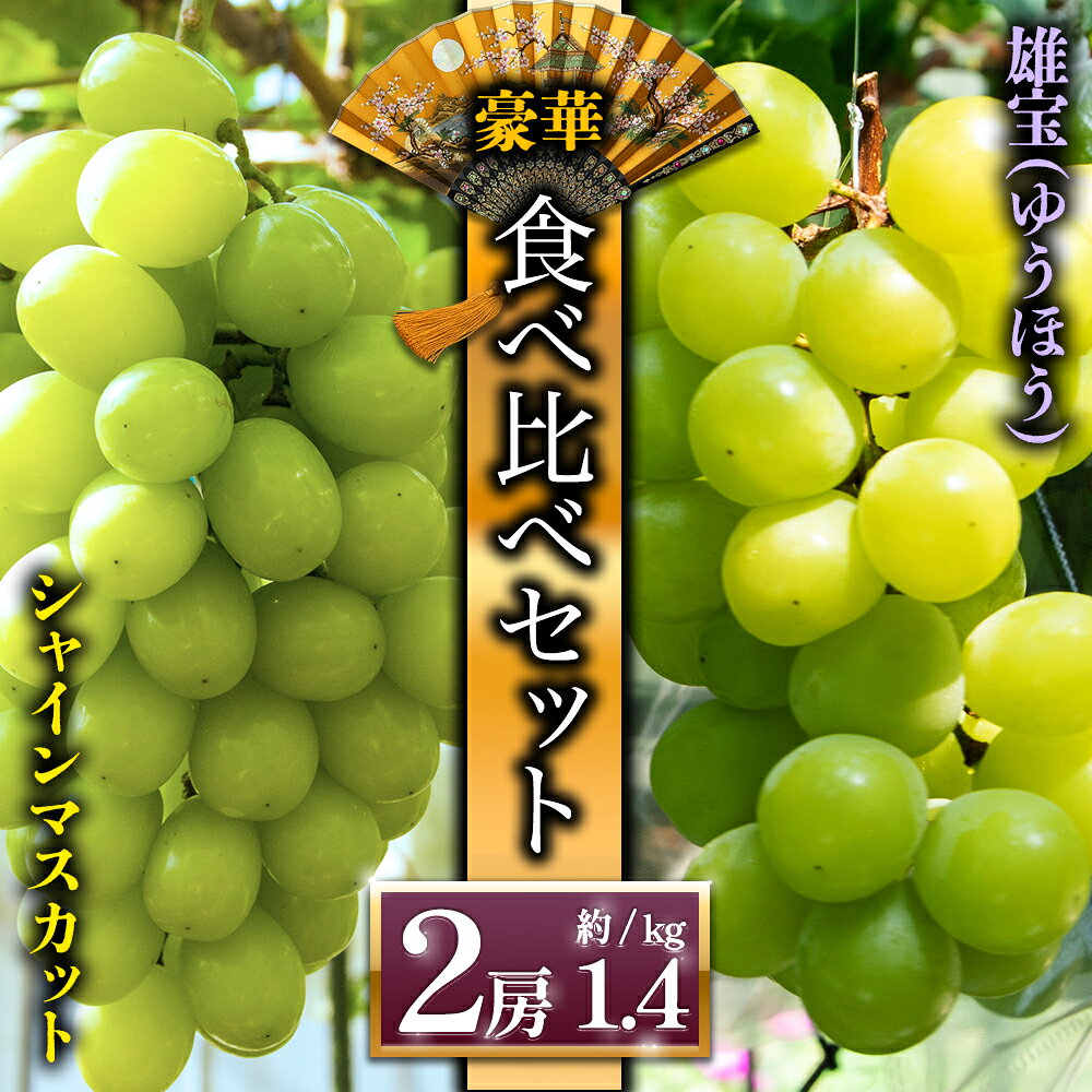 【ふるさと納税】【予約】シャインマスカット 希少品種 雄宝 ぶどう 食べ比べ 後藤ぶどう園 希少 ぶどう旬 新鮮 期間限定 皮ごと ブドウお取り寄せ 熊本県 阿蘇市