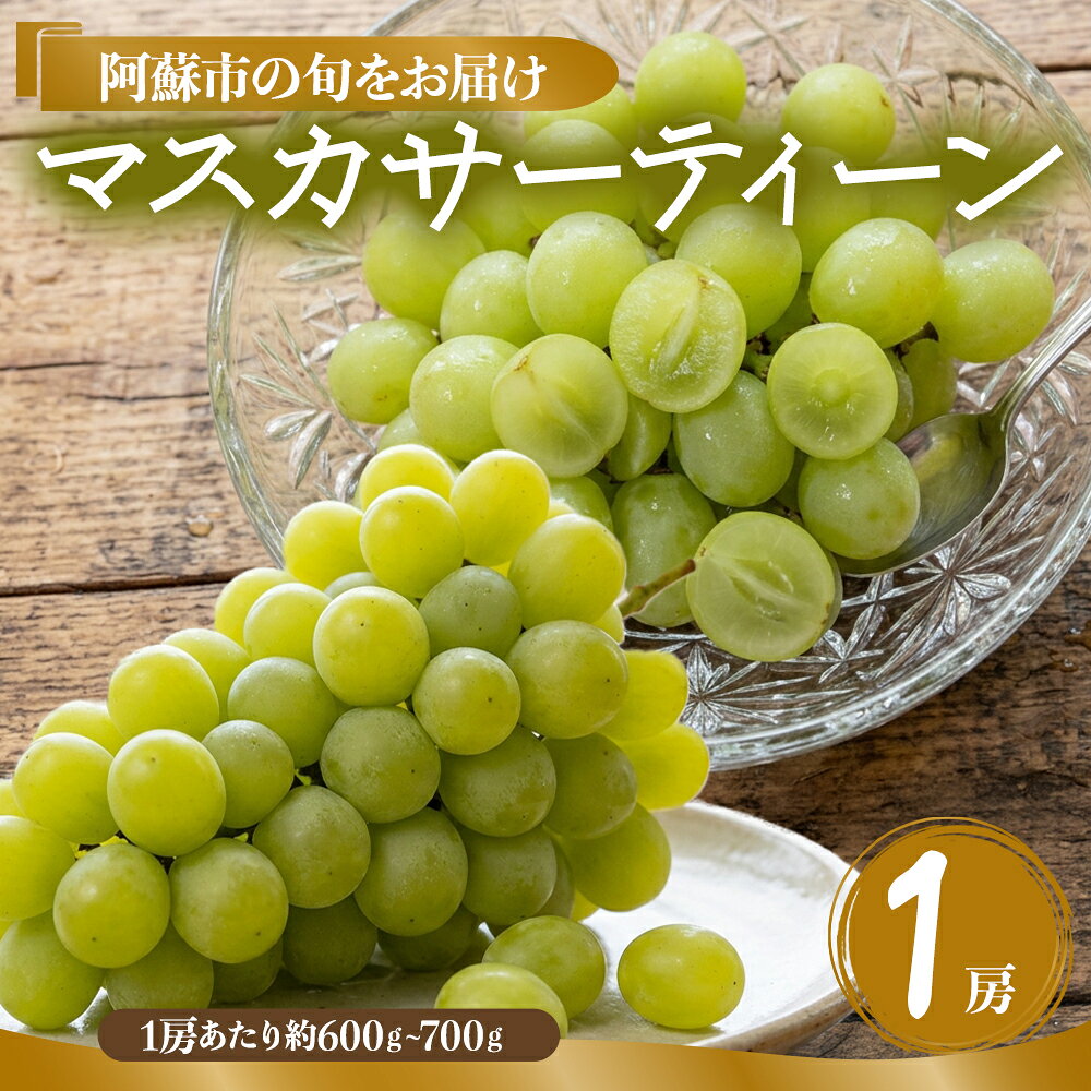 希少品種 マスカサーティーン 約600g〜約700g ぶどう 後藤ぶどう園 希少 新鮮 期間限定 皮ごとブドウ お取り寄せ おやつ 美味しい ジューシー みずみずしい 甘い サクサク 高級 豪華 熊本県阿蘇市