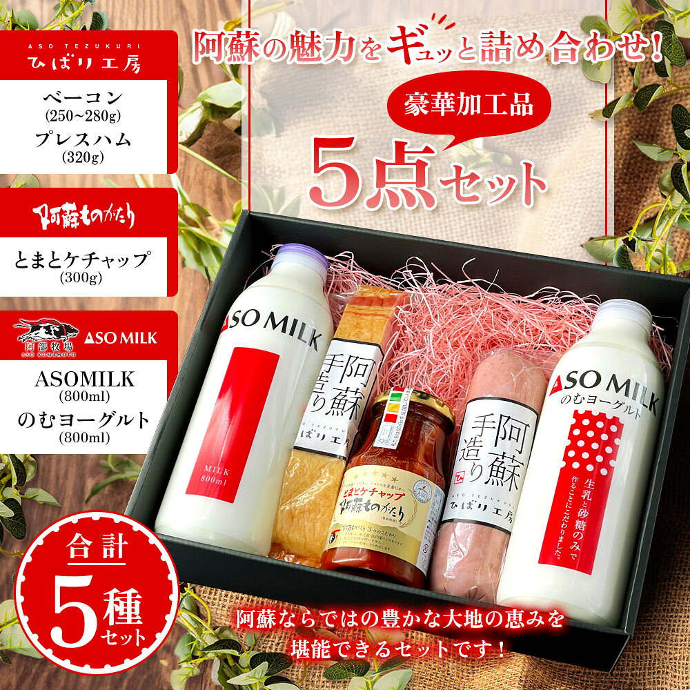 ベーコン ひばり工房 ASOMILK 阿部牧場 プレスハム ベーコン ベーコンブロック 阿蘇ミルク 阿部牧場 牛乳 飲むヨーグルト トマトケチャップ オススメ ふるさと納税 詰め合わせ セット 加工品 5点 阿蘇ものがたり 熊本県 阿蘇市