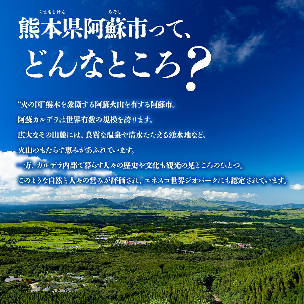 【ふるさと納税】熊本県阿蘇市の対象施設で使える楽天トラベルクーポン 寄附額50,000円 15,000円分クーポン 観光地応援その2
