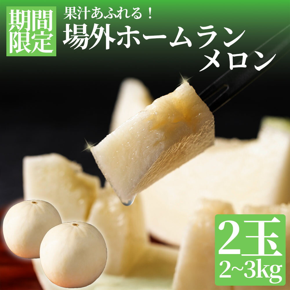 [6月上旬より順次発送]メロン 場外ホームランメロン ホームランメロン 2玉 1~1.5kg 父の日 プレゼント 糖度 甘い 白い ジューシー みずみずしい 果肉 希少メロン フルーツ ギフト 贈答用 お祝い おやつ ご褒美 熊本県 阿蘇市