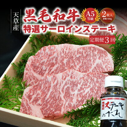 【定期便】天草産 黒毛和牛 A5 等級 特選 サーロインステーキ 2枚 約 550g 肉 牛 牛肉 プロが選ぶ サーロイン ステーキ ソース 1本付 3ヶ月連続お届け ミシュランビブグルマン 獲得 厳選 お肉 田中畜産 熊本県 天草市 お取り寄せ 冷蔵 送料無料