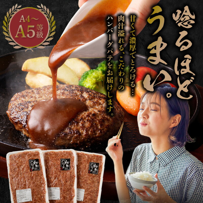 【ふるさと納税】九州産 黒毛和牛 ハンバーグ パテ 約1.5kg 肉質等級 A4 〜 A5 ランク 小分け 味付き 旨味 濃い 黒毛和種 ミシュランビブグルマン 獲得 熊本県 天草市 田中畜産 お取り寄せ お取り寄せグルメ 送料無料