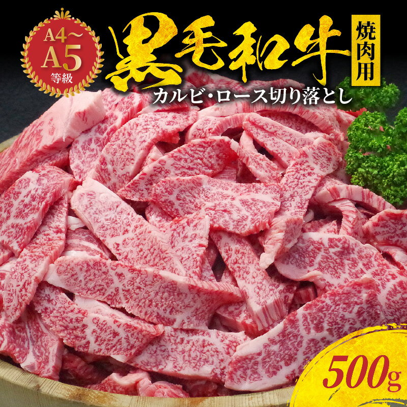 【ふるさと納税】黒毛和牛 焼肉用 500g カルビ ロース 