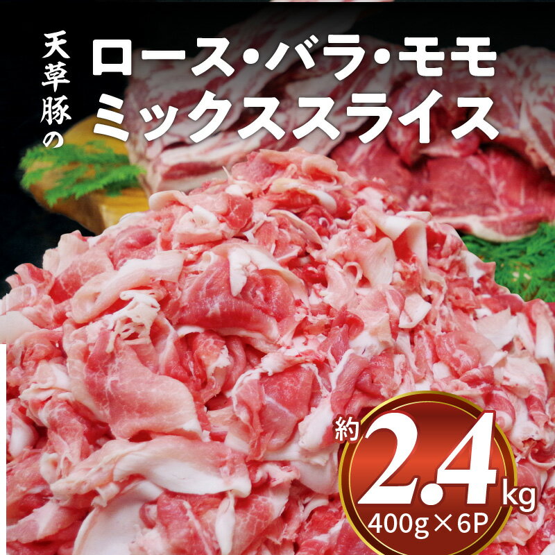 【ふるさと納税】豚肉 ロース バラ もも ミックス スライス 約 2.4kg 400g×6P 小分け パック 薄切り しゃぶしゃぶ 生姜焼き 炒め物 天草豚 熊本県天草産 国産 食品 グルメ 冷凍 送料無料