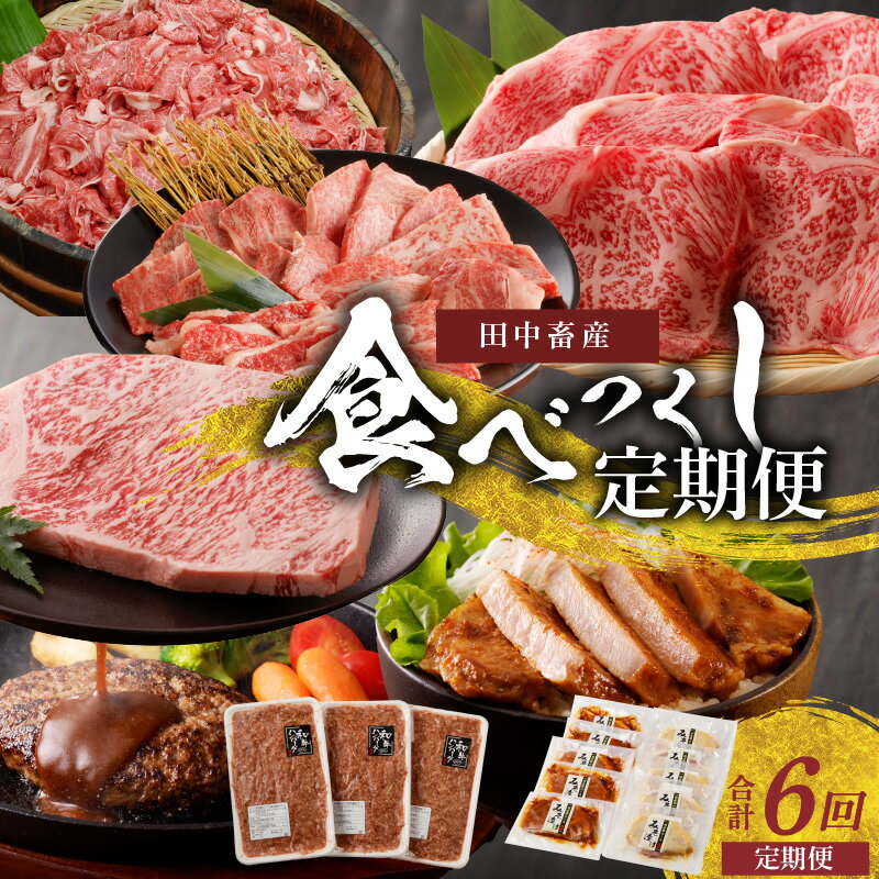 【ふるさと納税】定期便 6回 肉 満喫 食べつくし 焼肉用 ロース カルビ 切り落とし 豚ロース みそ漬け サーロインステーキ すき焼き用 ロース切り落とし ハンバーグ 冷凍 牛肉 黒毛和牛 専門店 たなか畜産 熊本県 天草市 定期便 お取り寄せ お取り寄せグルメ 送料無料