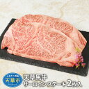 【ふるさと納税】牛肉 サーロイン ステーキ 2枚 約520g A4 以上 和牛 天草黒牛
