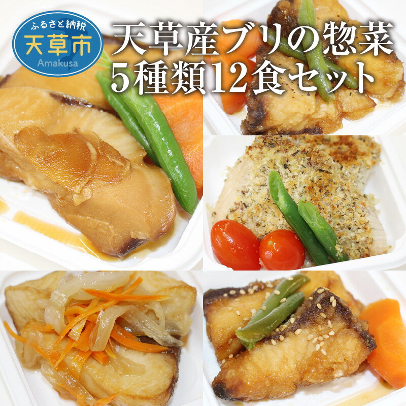 【ふるさと納税】ブリ 惣菜 5種類 12個 セット 煮付け 