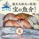 【ふるさと納税】【着日指定】 魚介 セット 約 2kg 〜 3kg タイ アジ スズキ 鮮魚 海鮮 詰め合わせ 海の幸 旬 冷蔵 鮮度抜群 産地直送 魁光丸 船長 厳選 九州 熊本県 天草産 食べ物 食品 お取り寄せ 送料無料 2