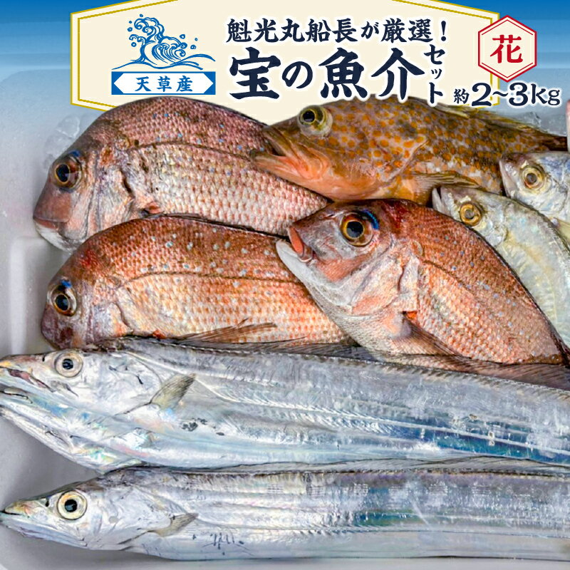 【ふるさと納税】【着日指定】 魚介 セット 約 2kg 〜 