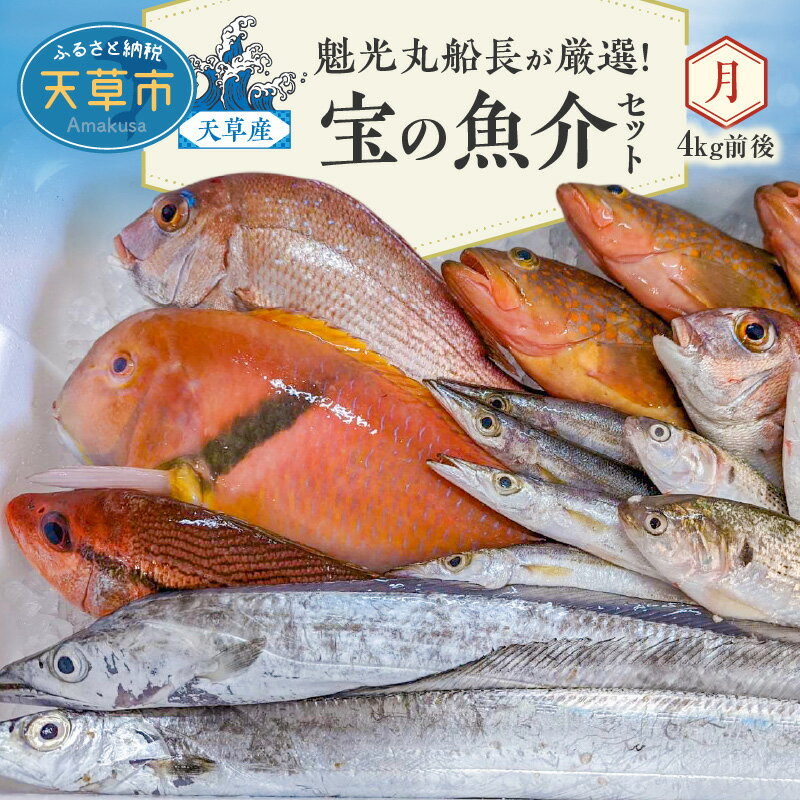 【ふるさと納税】【着日指定】 魚介 セット 4kg 前後 天