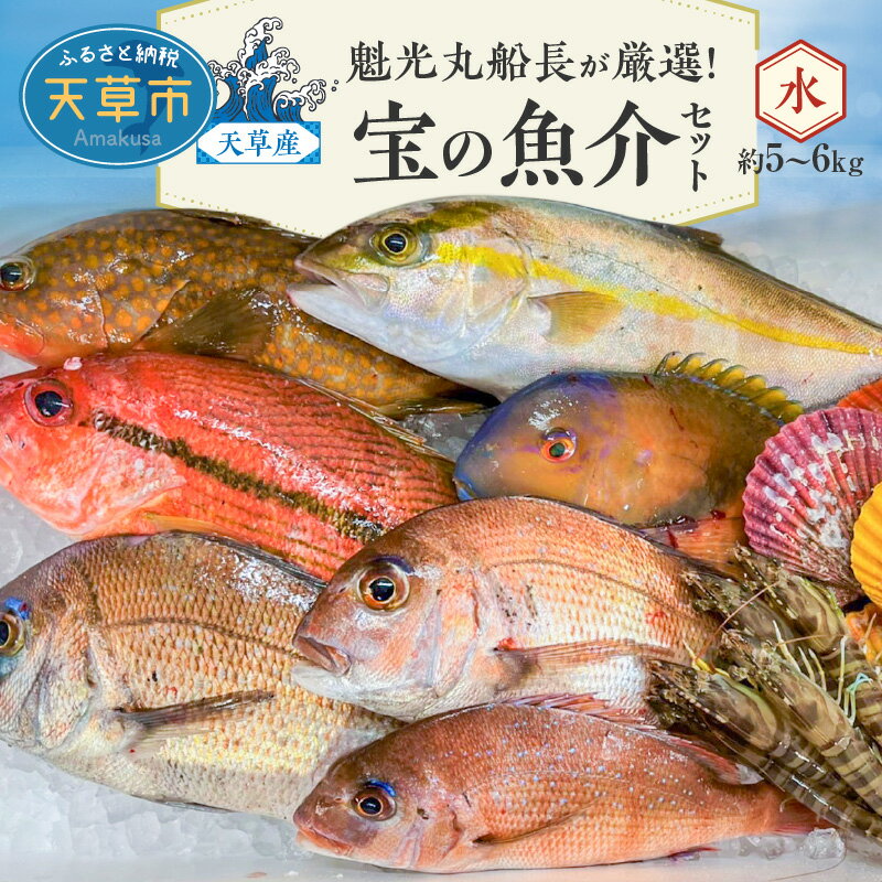 【着日指定】 魚介 セット 約 5kg 〜 6kg 天然 タイ ウマズラハギ オオメダイ 鮮魚 海鮮 詰め合わせ 海の幸 旬 冷蔵 鮮度抜群 産地直送 魁光丸 船長 厳選 九州 熊本県 天草産 食べ物 食品 お取り寄せ 送料無料