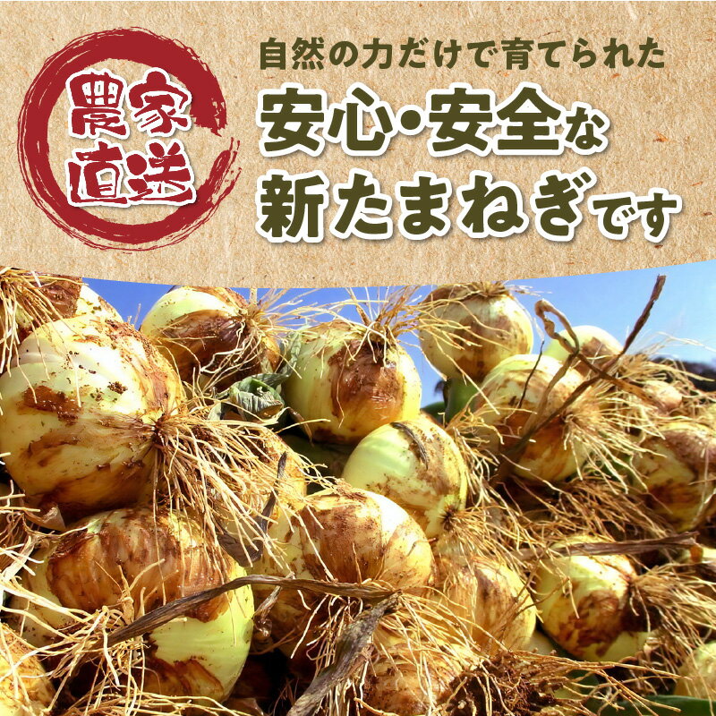 【ふるさと納税】【先行予約】 訳あり 新たまねぎ 玉ねぎ 約 10kg 令和6年4月出荷 オーガニック 栽培期間中 農薬 化学肥料 不使用 安心 安全 野菜 サラダ オニオンスープ お取り寄せ 熊本県 天草市 送料無料