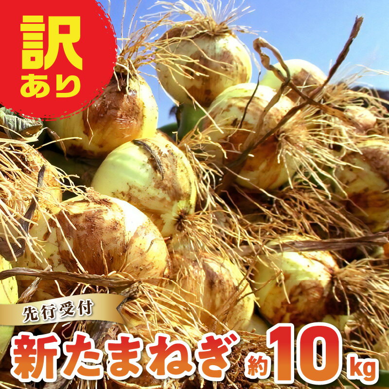 [先行予約] 訳あり 新たまねぎ 玉ねぎ 約 10kg 令和7年4月出荷 オーガニック 栽培期間中 農薬 化学肥料 不使用 安心 安全 野菜 サラダ オニオンスープ お取り寄せ 熊本県 天草市 送料無料