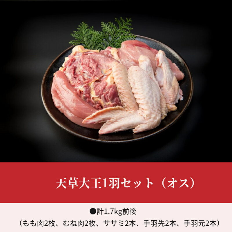 【ふるさと納税】鶏肉 1羽 セット 1.7kg 前後 もも肉 むね肉 ササミ 手羽先 手羽元 地鶏 天草大王 オス 冷凍 プロトン おうちごはん 冷凍ギフト 熊本県 天草 お取り寄せ お取り寄せグルメ 国産 食品 送料無料