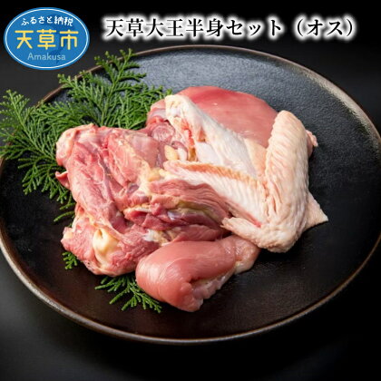 鶏肉 半身 セット 800g 前後 もも肉 むね肉 ササミ 手羽先 手羽元 地鶏 天草大王 オス 冷凍 プロトン おうちごはん 冷凍ギフト 熊本県 天草 お取り寄せ お取り寄せグルメ 国産 食品 送料無料