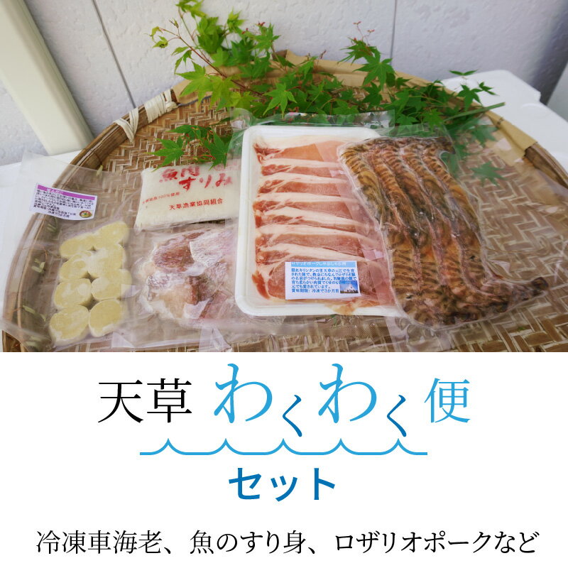 【ふるさと納税】高評価 天草 わくわく便 セット 詰め合わせ クルマエビ 白身魚 すり身 旬 魚 切り身 ロザリオポーク しゃぶしゃぶ 郷土銘品 せんだご 真空パック 郷土料理 豚肉 シーフード 海産物 魚介 海鮮 冷凍 お取り寄せグルメ 熊本県 天草市 送料無料