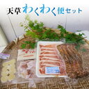 【ふるさと納税】高評価 天草 わくわく便 セット 詰め合わせ クルマエビ 白身魚 すり身 旬 魚 切り身 ロザリオポーク しゃぶしゃぶ 郷土銘品 せんだご 真空パック 郷土料理 豚肉 シーフード 海産物 魚介 海鮮 冷凍 お取り寄せグルメ 熊本県 天草市 送料無料