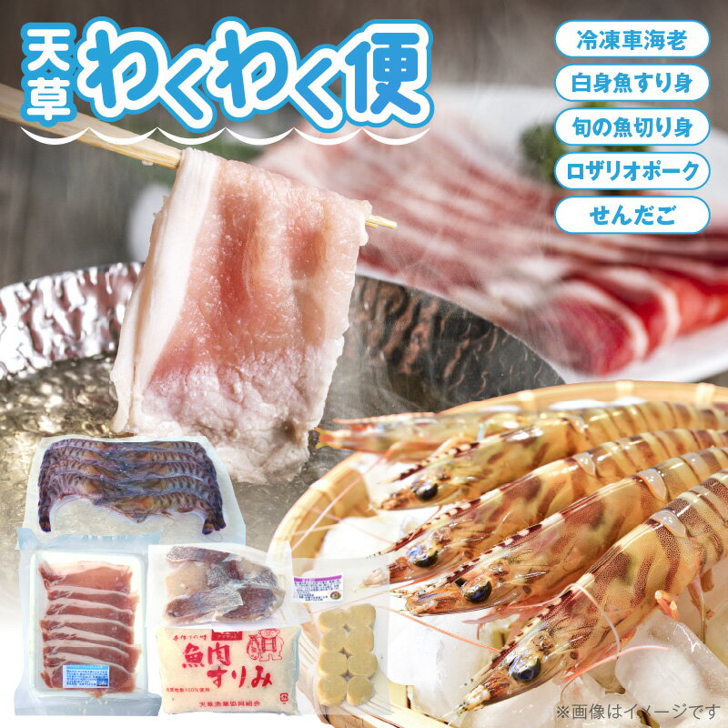 【ふるさと納税】高評価 天草 わくわく便 セット 詰め合わせ クルマエビ 白身魚 すり身 旬 魚 切り身 ..