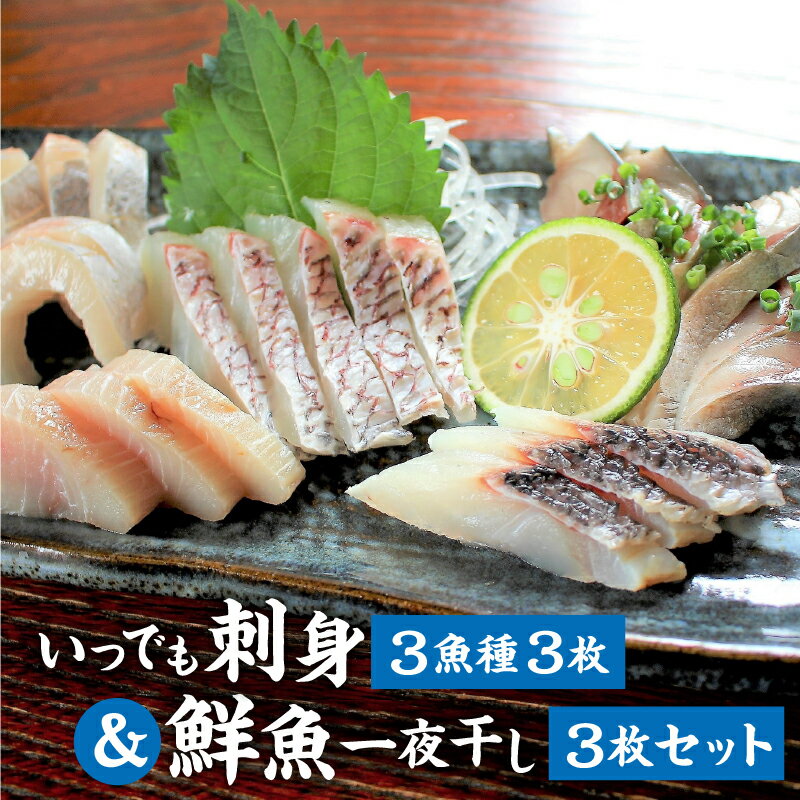 【ふるさと納税】いつでも刺身 3魚種 3枚＆鮮魚一夜干し 3